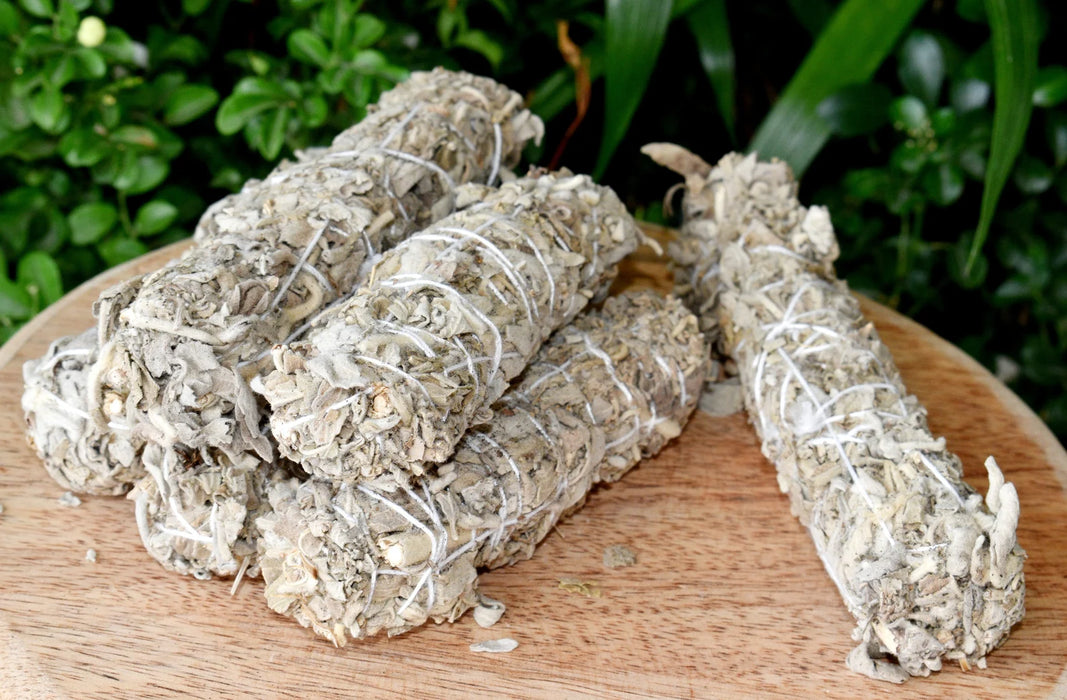White Sage (Cleansing, Protection)